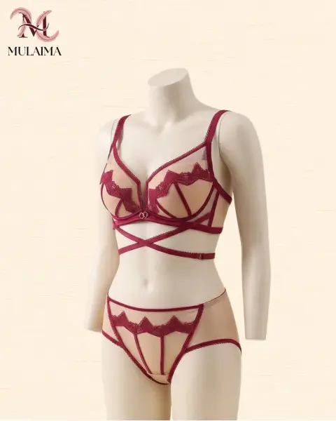 Embroidered Padded Push-Up Bra Set