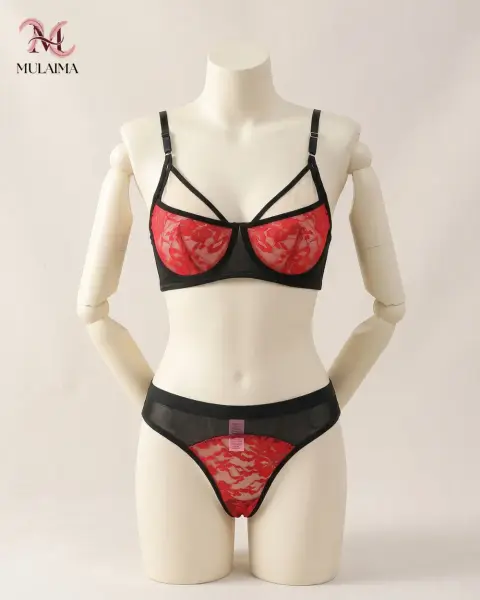 Festive Red Lace Push-Up Bra Set (view 2)