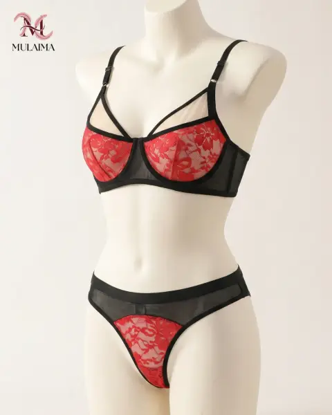 Festive Red Lace Push-Up Bra Set (view 3)