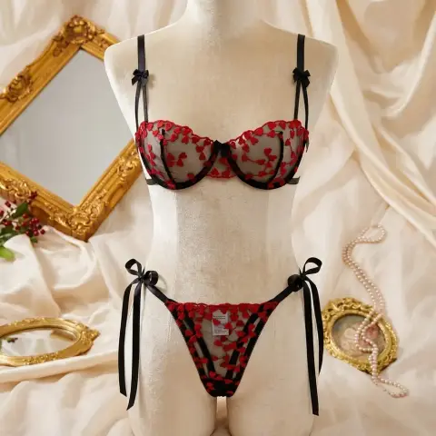 French Lace Heart Bra Set with Sheer Embroidery (view 2)