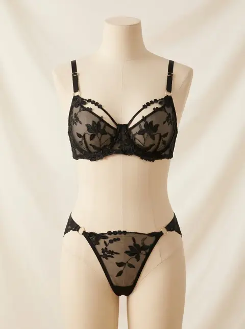 Royal Sheer Mesh and Lace Bra Set