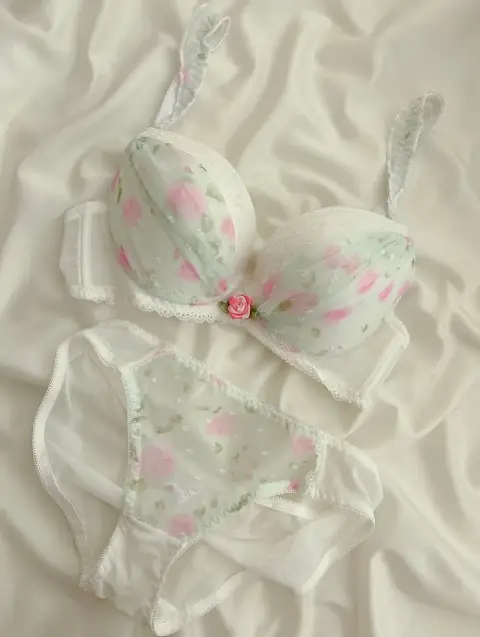 Soft Mesh Floral Embroidery Bra and Panty Set in White